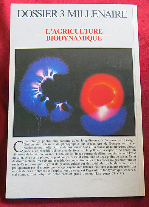 Vintage French Spiritual Magazine 1987 - The true story of the Tarots - Chinese Energy Diet