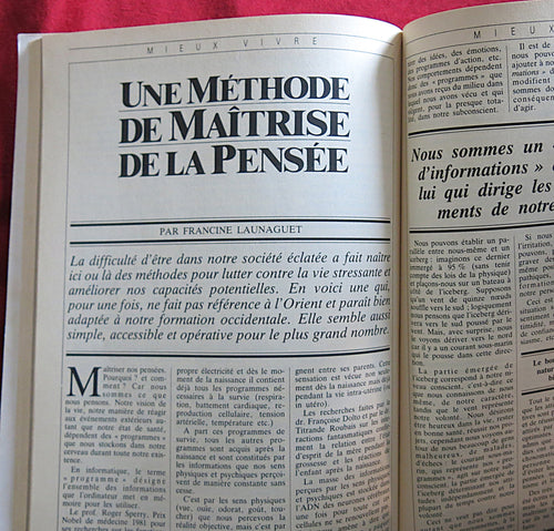 Vintage French Spiritual Magazine 1987 - The true story of the Tarots - Chinese Energy Diet