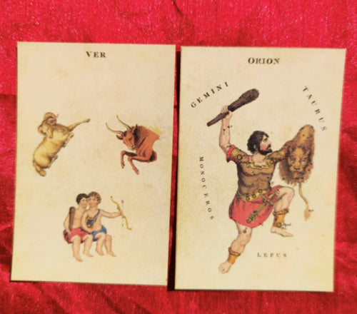 Hodges' Constellation Cards c.1828 - Astrophilogeon