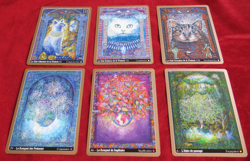 The Spiritual Cats oracle - Ritavan's Journey - The Inner Treasure Map