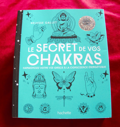 Chakras : Harmonisez votre vie grâce à la conscience énergétique