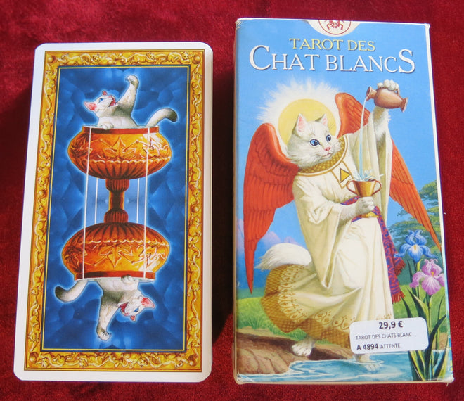 Tarot des Chats Blancs - White Cats Tarot - Severino Baraldi